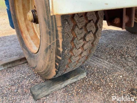 2010 自家製ピッグ