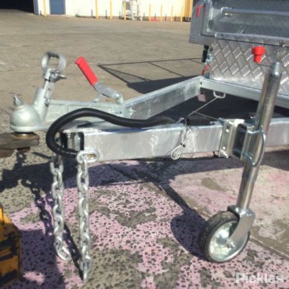 2025 绿色有限公司