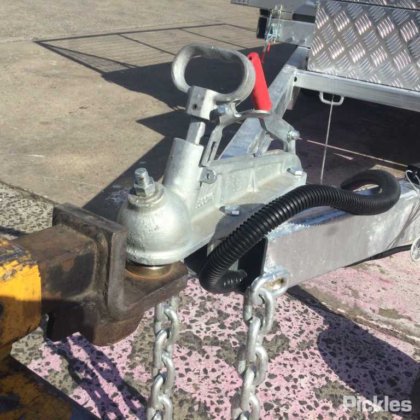 2025 绿色有限公司