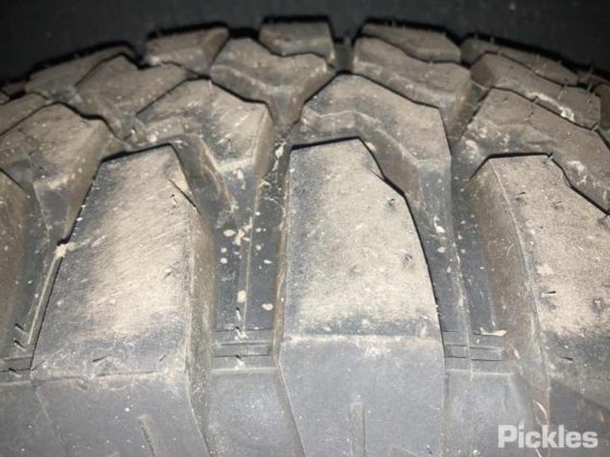 2024 ジャスミン OES