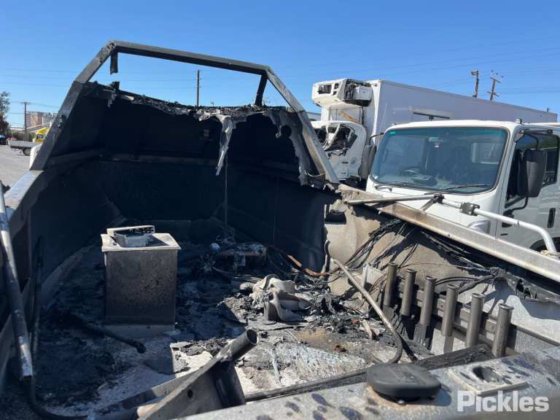 创世纪体育 Cuddy