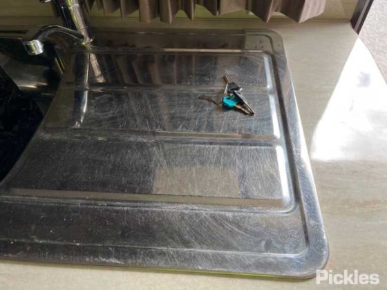 2011年のゴールドン・イーグル・ランブラー