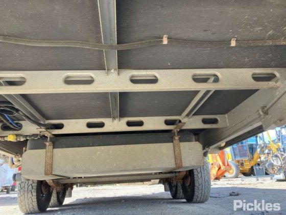 2018年新時代ヤモリ