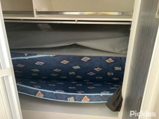 2018年新時代ヤモリ