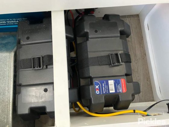 2018年新時代ヤモリ