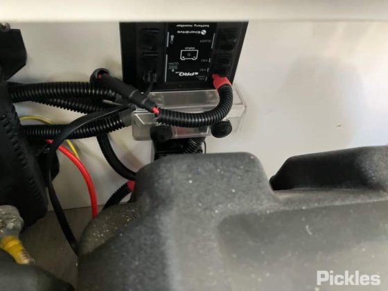 2018年新時代ヤモリ