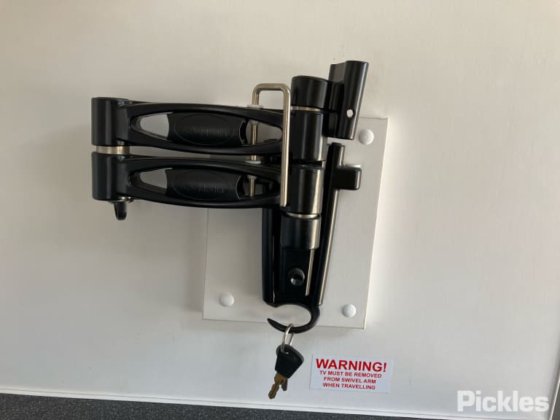 2018年新時代ヤモリ