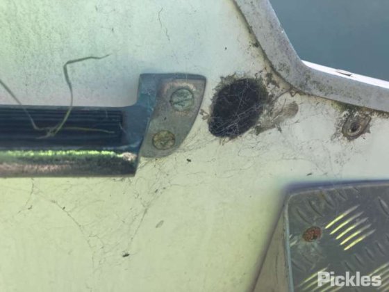 サベージ 5.5 メータ コマンダー