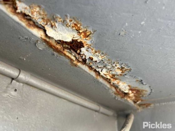 1993 プランケット