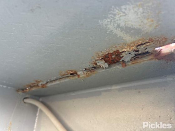 1993 プランケット