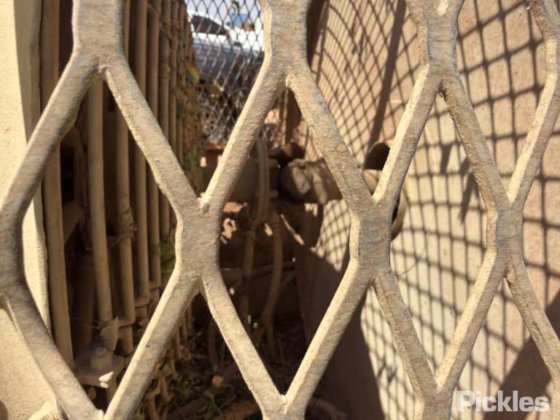 ネルソン・ハーディ・スーパー80