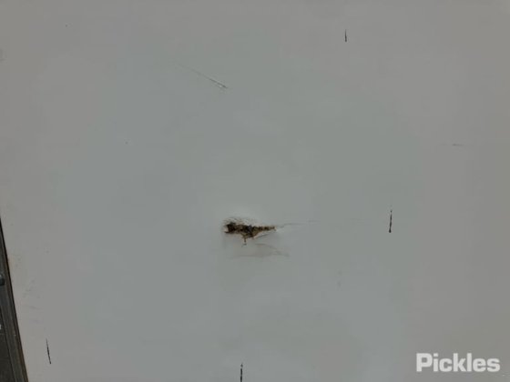 2003 日野 Dutro U414