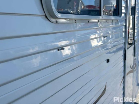 科罗马尔·普林斯顿