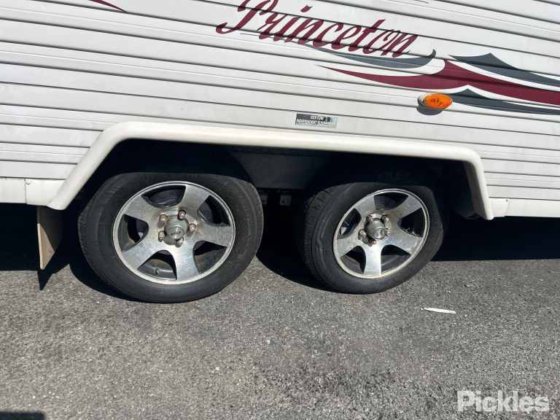 科罗马尔·普林斯顿