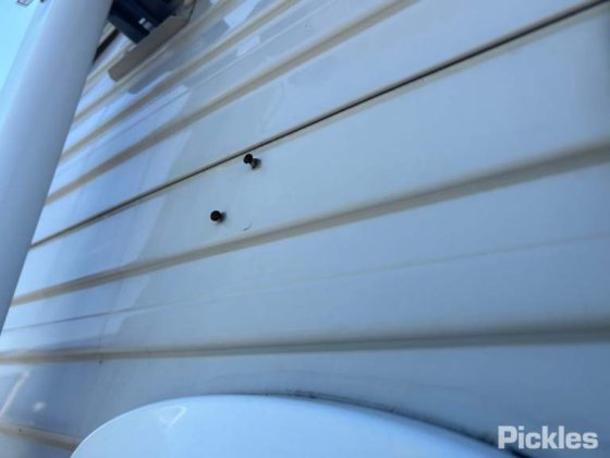 科罗马尔·普林斯顿