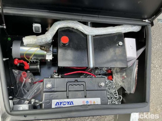 2025 绿色有限公司