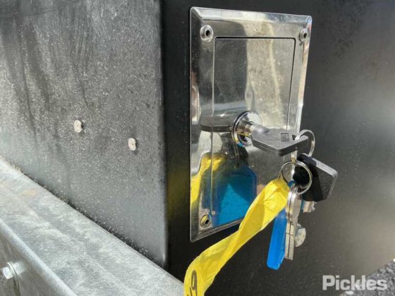 2025 绿色有限公司