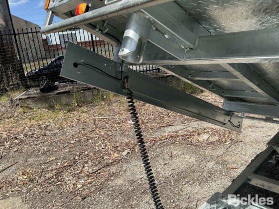 2025 绿色有限公司