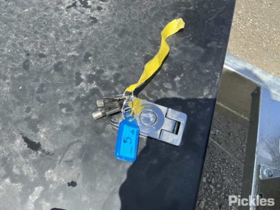 2025 绿色有限公司