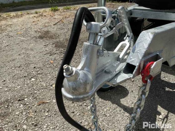 2025 绿色有限公司