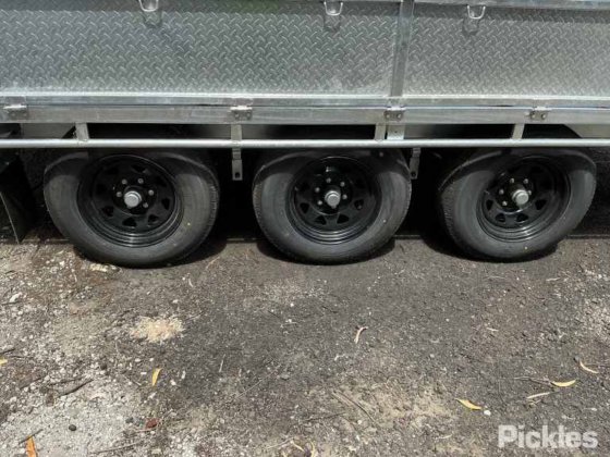 2025 绿色有限公司