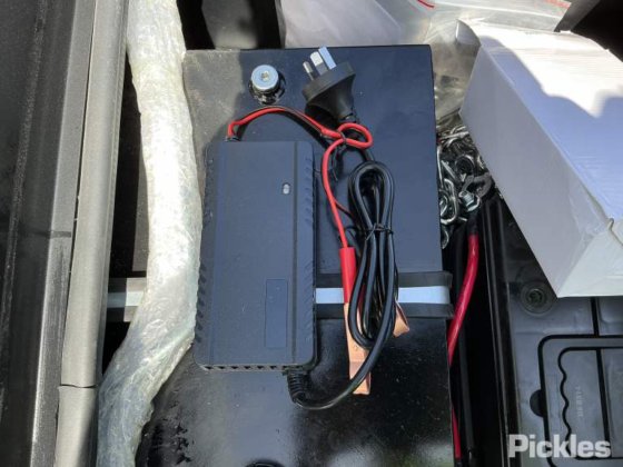 2025 绿色有限公司