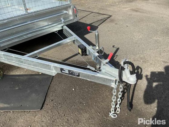 2025 绿色有限公司