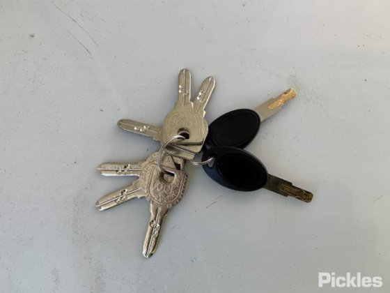 2025 绿色有限公司