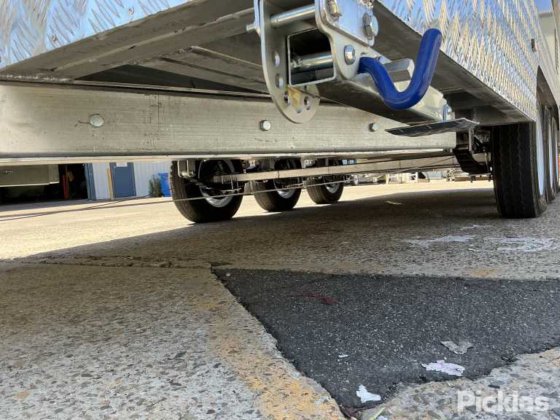 2025 绿色有限公司