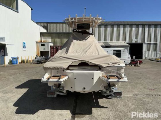 2023先锋 202岛民