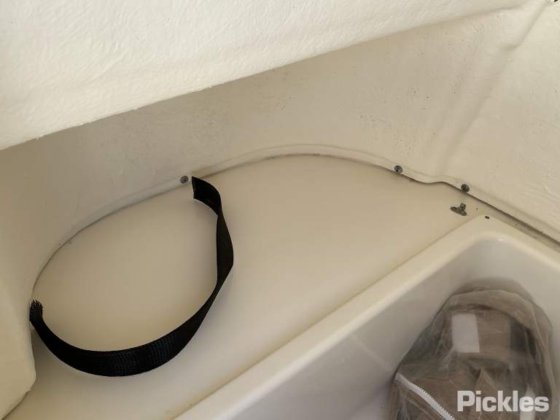 2023先锋 202岛民