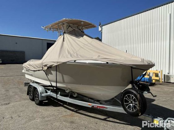 2023先锋 202岛民