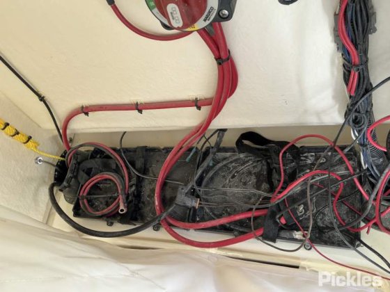 2023先锋 202岛民