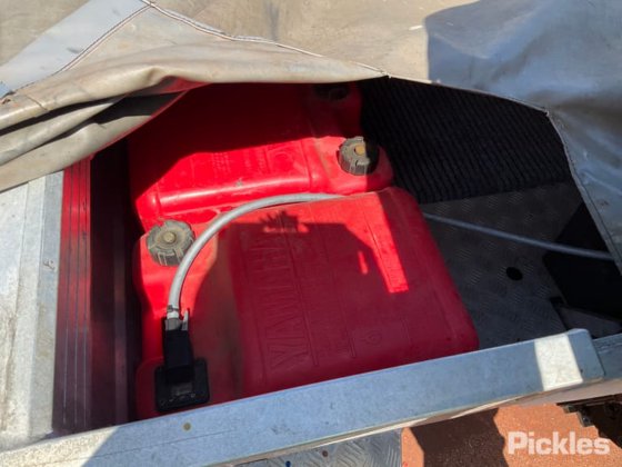 斯塔瑟·海精灵