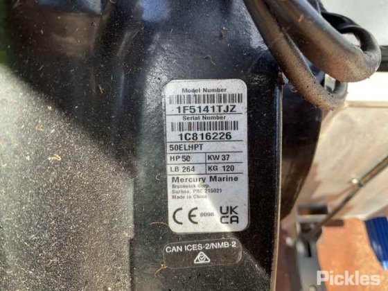 斯塔瑟·海精灵