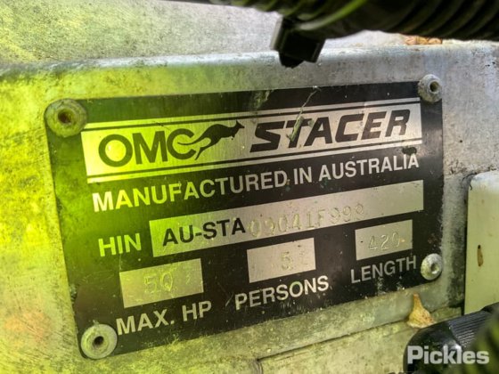 斯塔瑟·海精灵