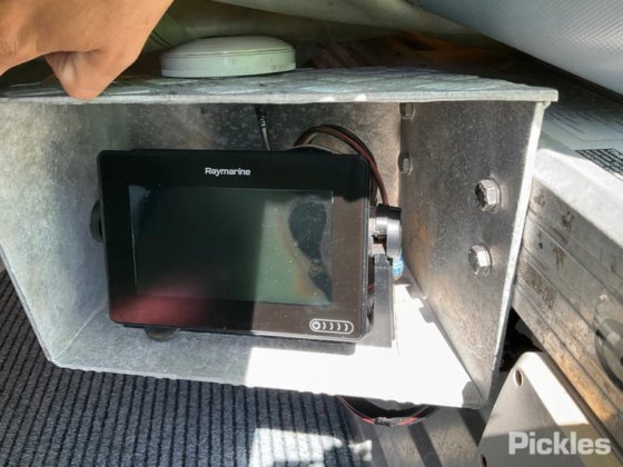 斯塔瑟·海精灵