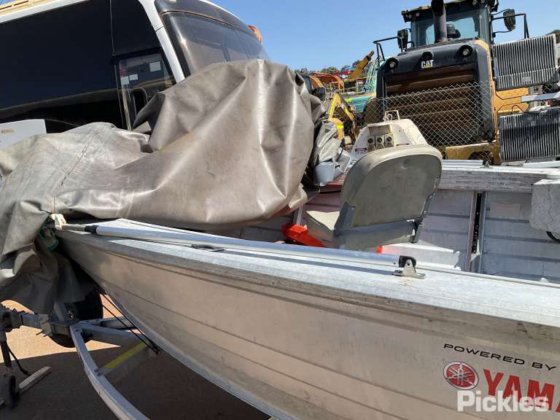 斯塔瑟·海精灵