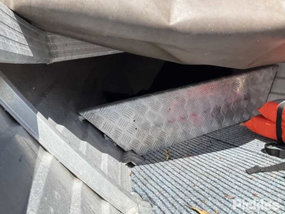 斯塔瑟·海精灵