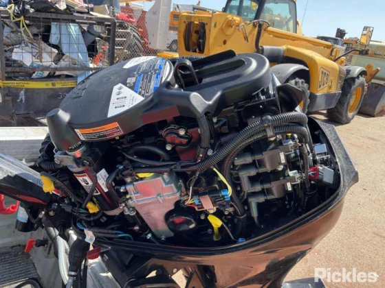 斯塔瑟·海精灵