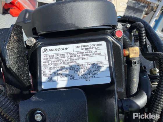 斯塔瑟·海精灵