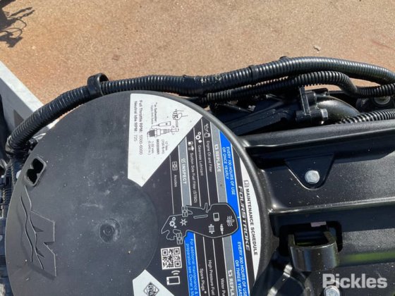 斯塔瑟·海精灵