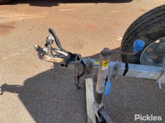 斯塔瑟·海精灵