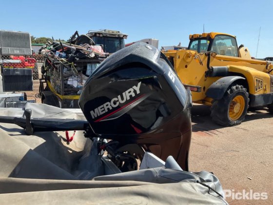 斯塔瑟·海精灵