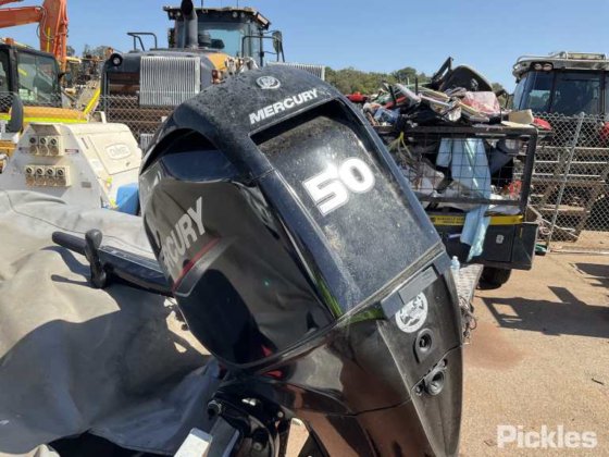 斯塔瑟·海精灵