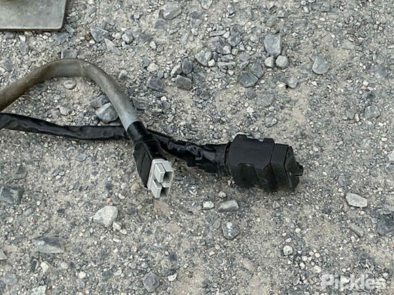 2017年 フリートウッド・コロマル