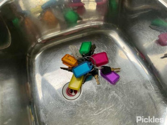 2017年 フリートウッド・コロマル