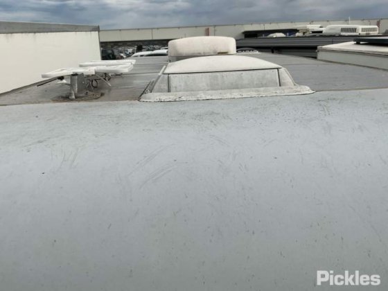 2017年 フリートウッド・コロマル