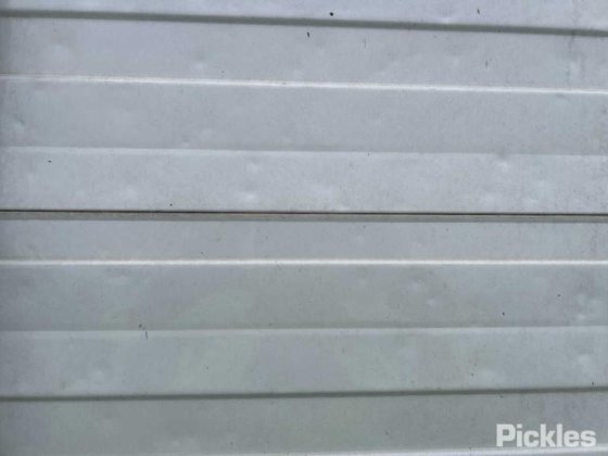 2012年フリースタイル