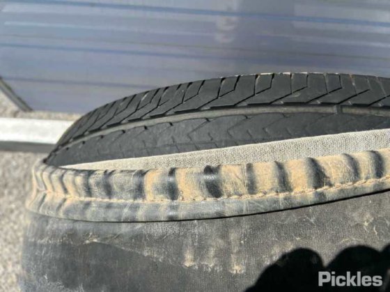 2012年フリースタイル